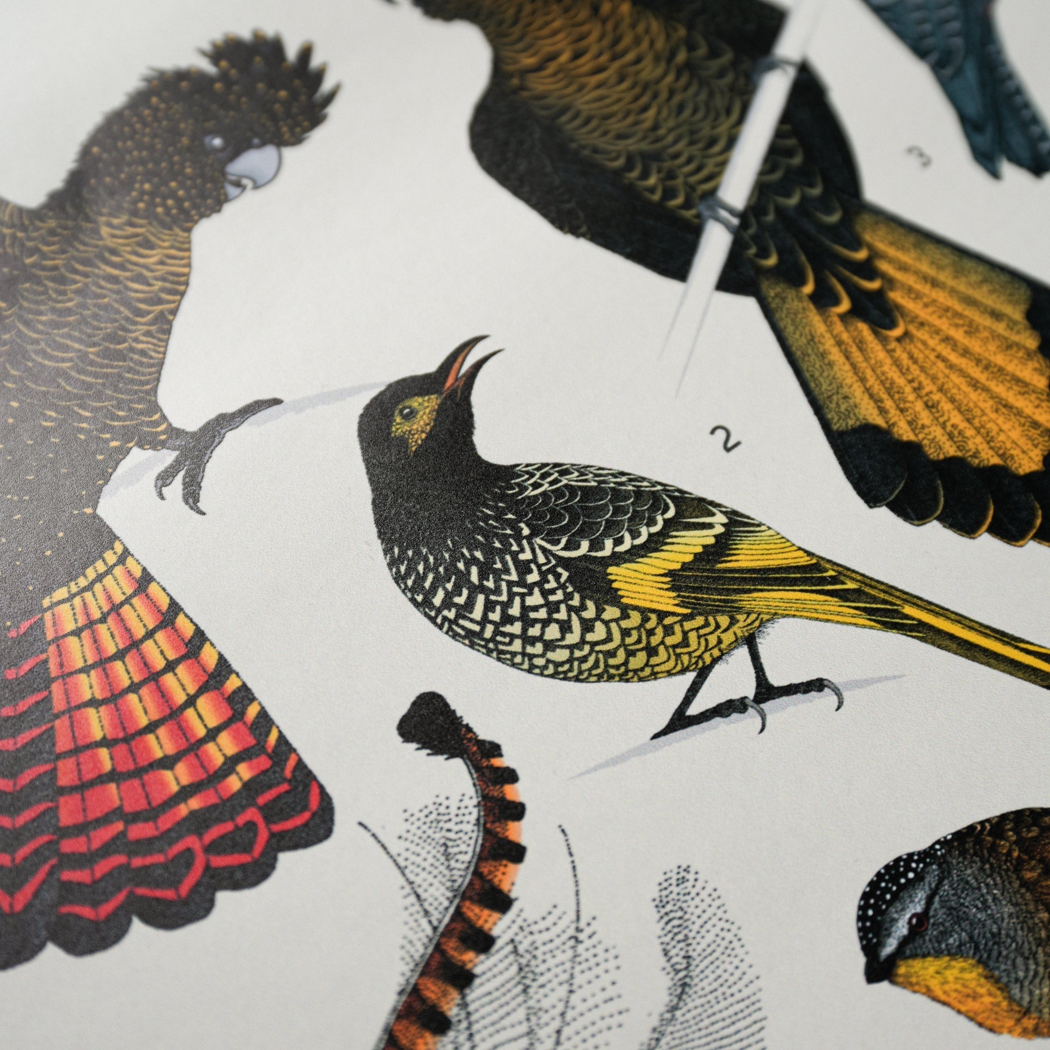 Nature-Inspired Diary Australian Wildlife