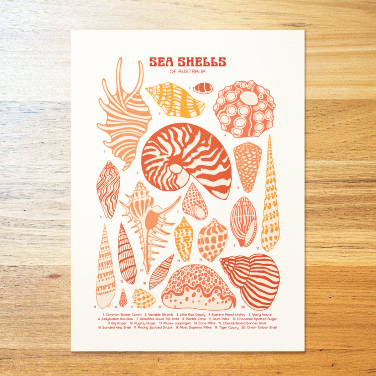 Shells