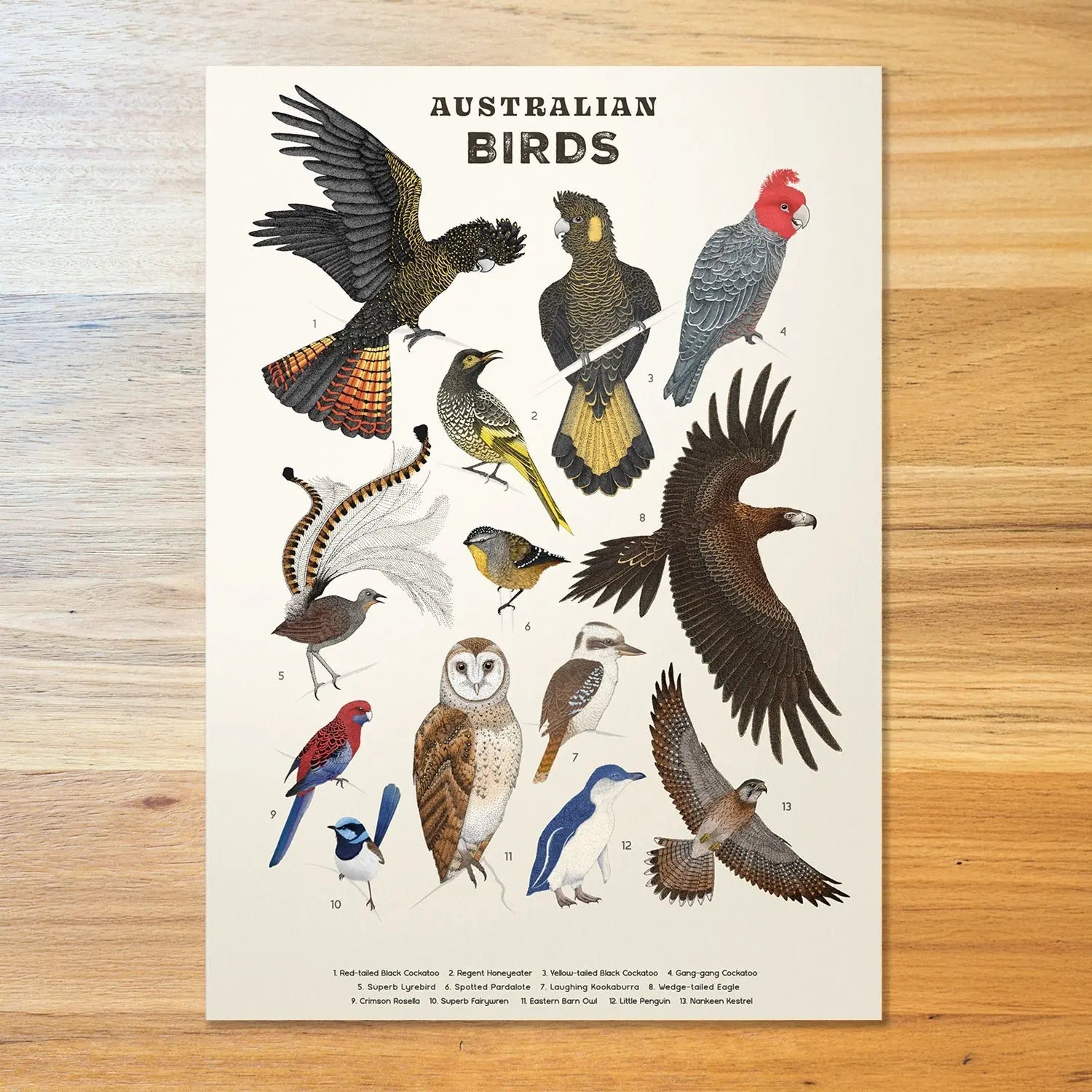 Wildlife Posters
