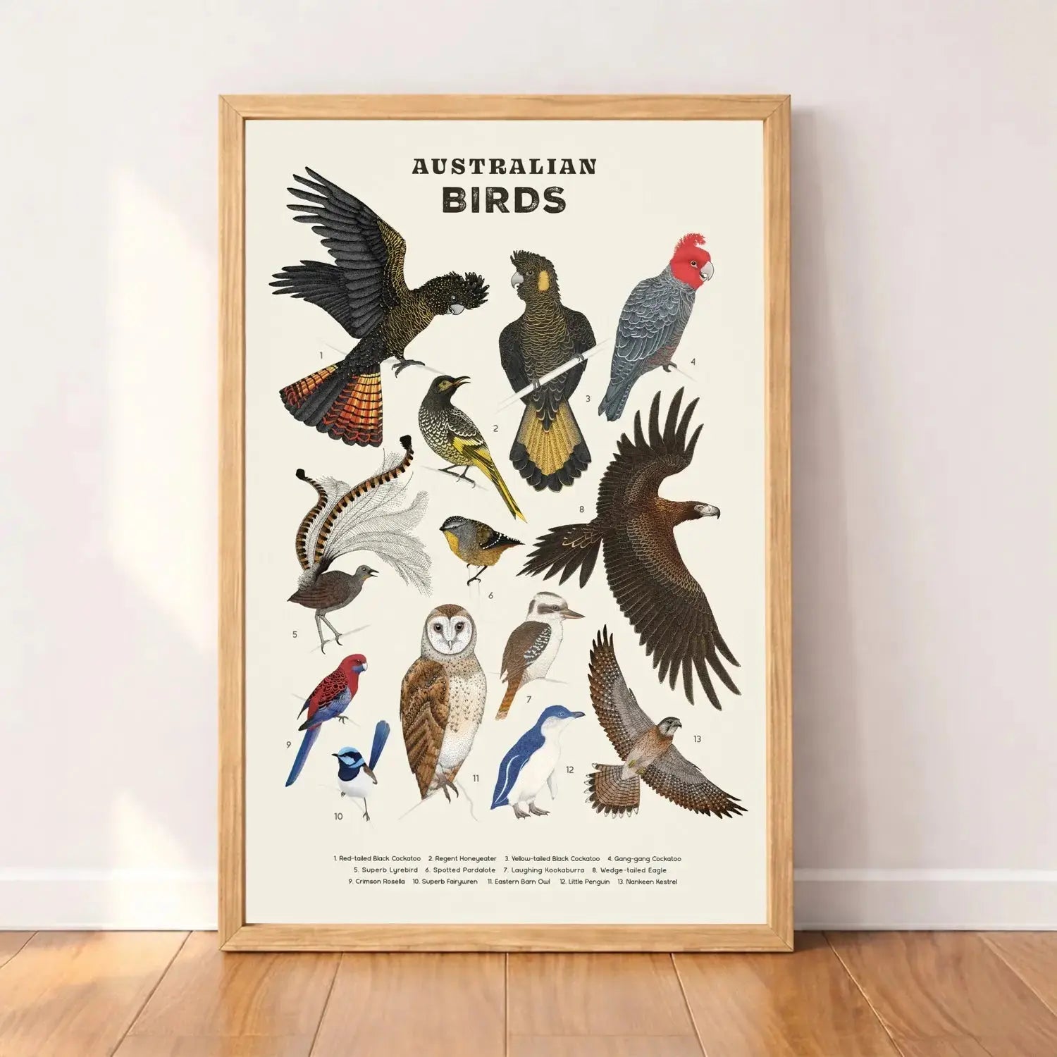 Framed Wildlife Prints - Wattletail