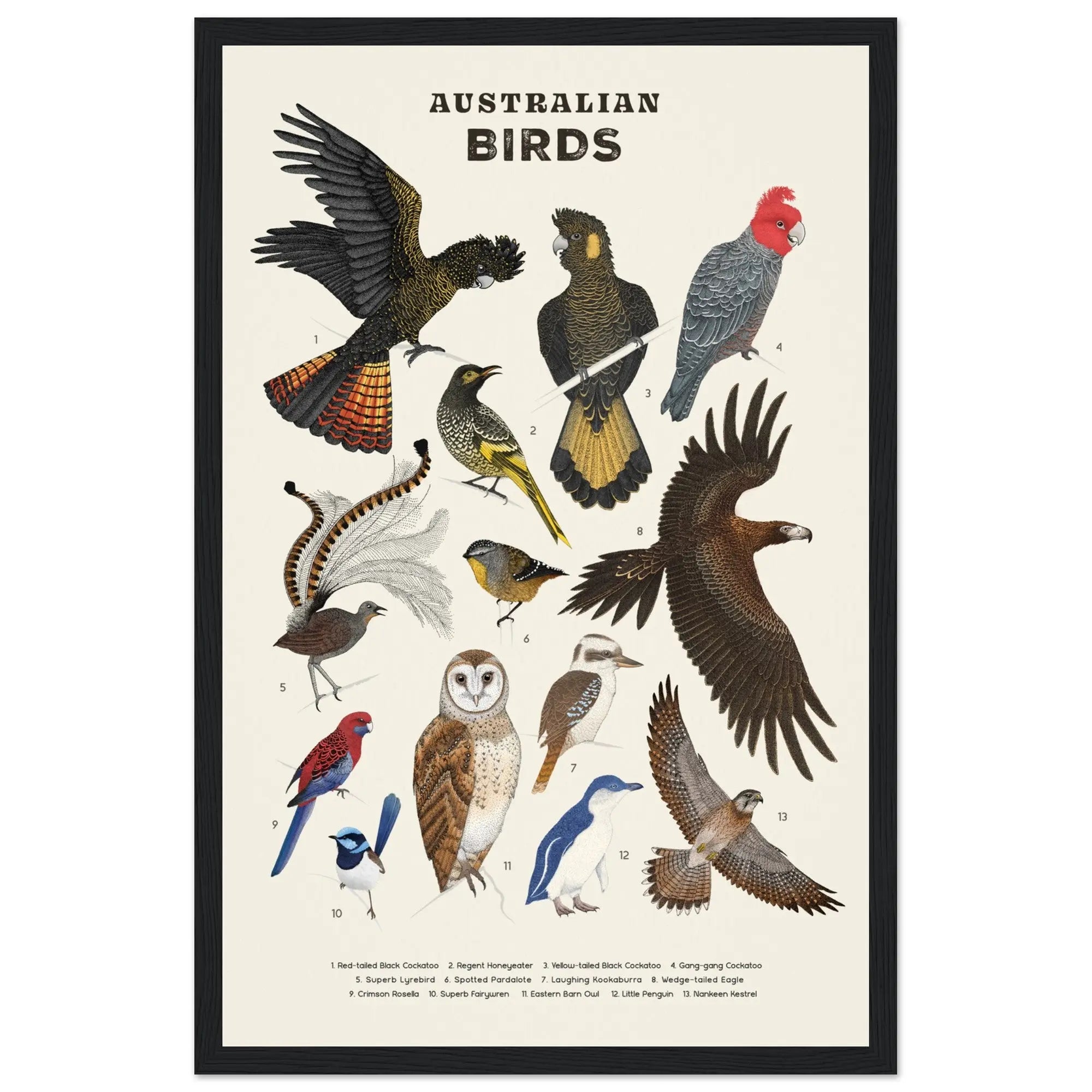 1a2d7b93-56af-4964-b6ca-2011dbf0b8b8