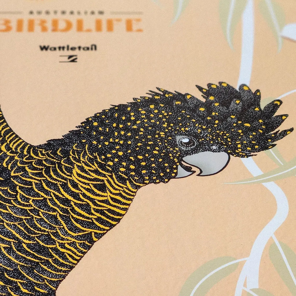 Australian Bird Life Calendar 2026 Wattletail