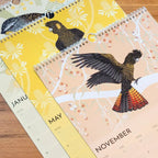Australian Bird Life Calendar 2026 Wattletail