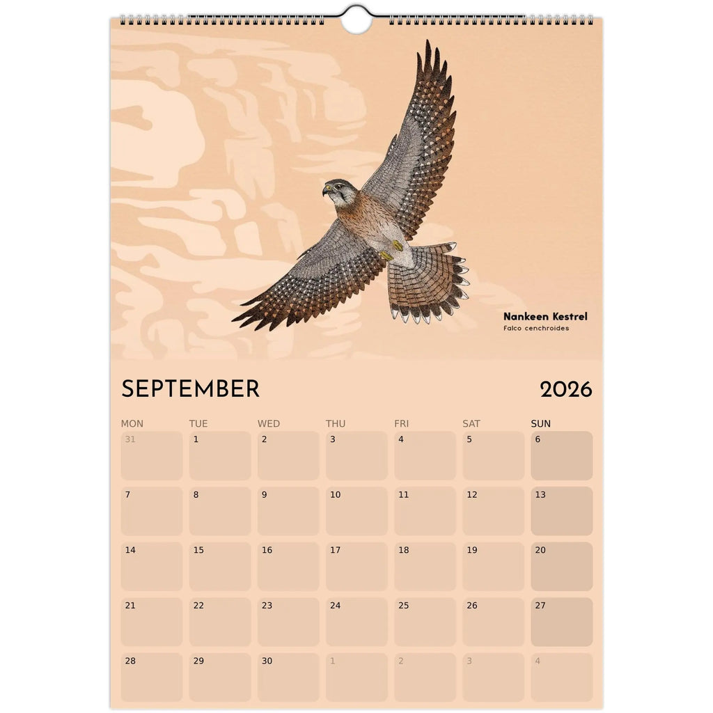 210389b6-cbfa-453b-bf53-f553d6db5ae6