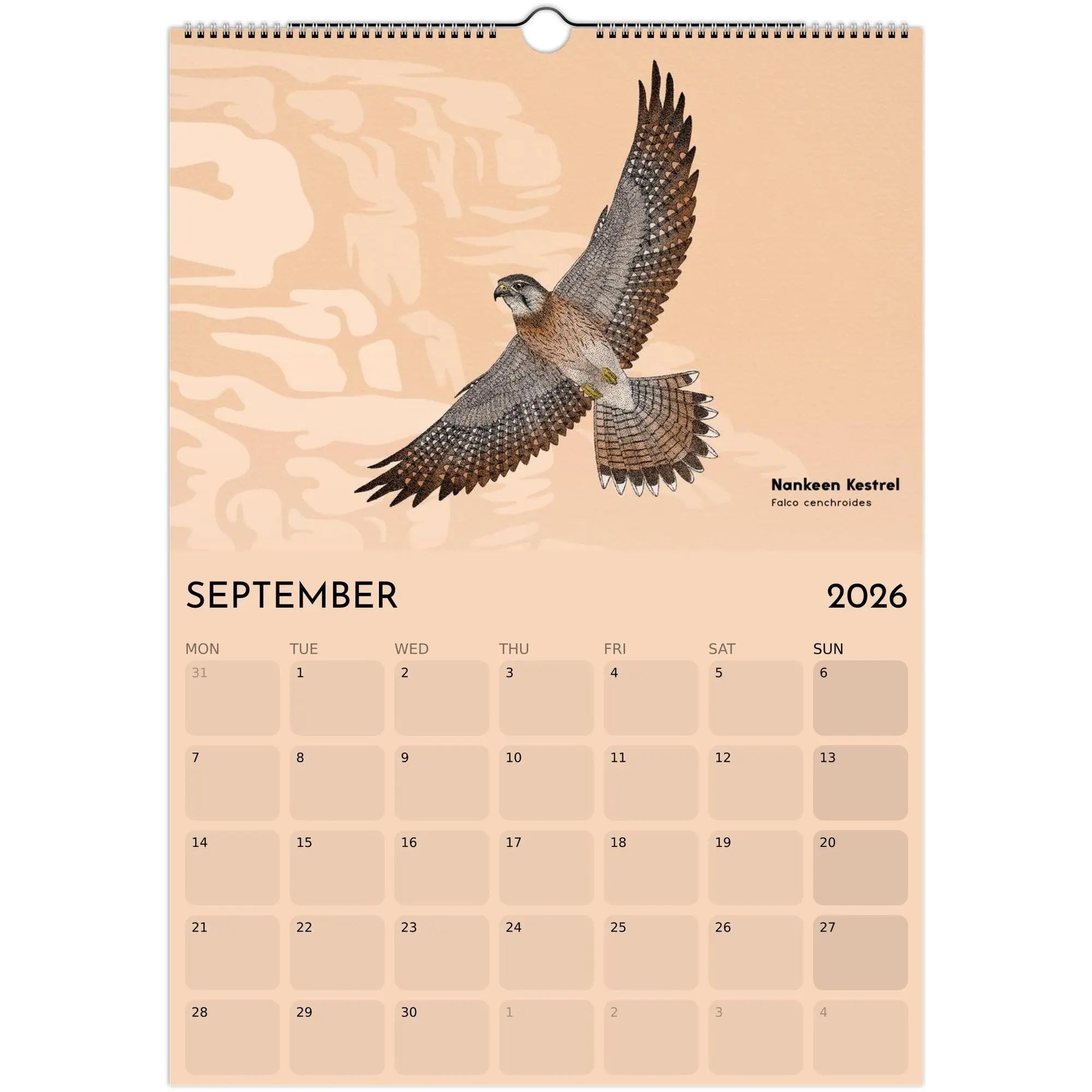 210389b6-cbfa-453b-bf53-f553d6db5ae6