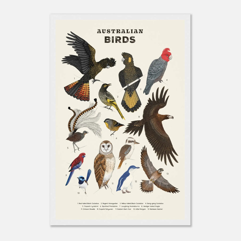 9d65dd8b-6ba0-42a1-bf2a-9599ba2f34b5