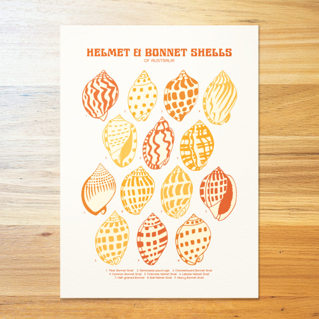 Helmet & Bonnet Shells Poster