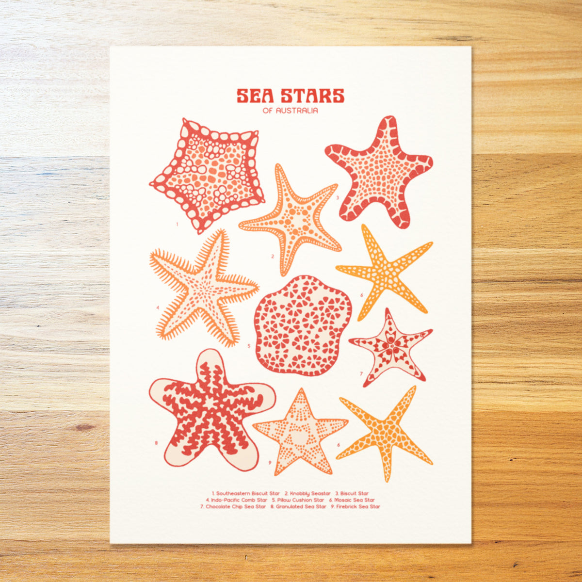 Starfish Poster
