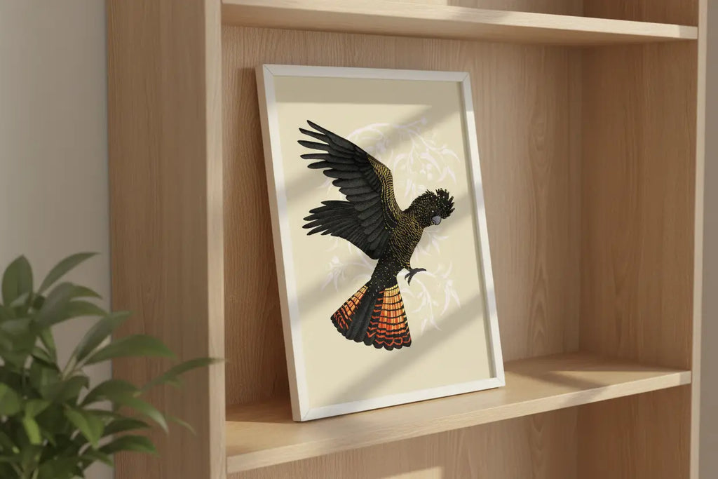 Red-Tailed Black Cockatoo Poster Wattletail