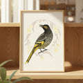 Regent Honeyeater Poster Wattletail