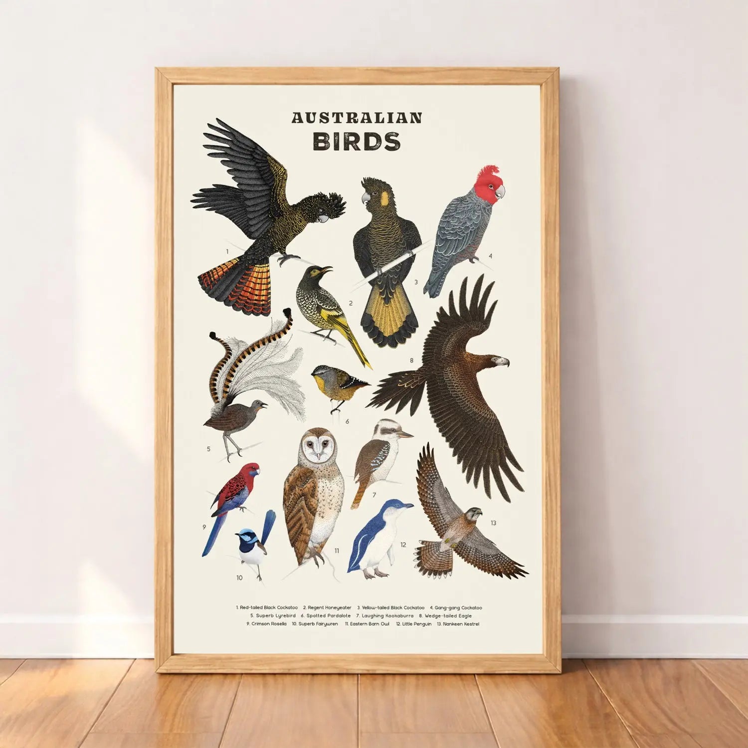 Australian Birds Classic Matte Paper Wooden Framed Poster Wattletail