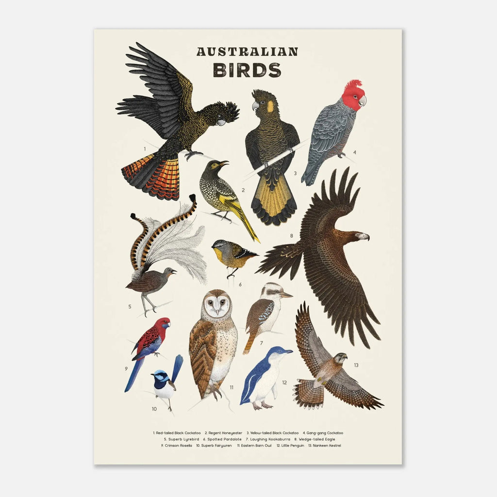 ba2004fb-a667-478e-96e6-298c64f0ebd5