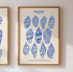 Volutes Shell Poster