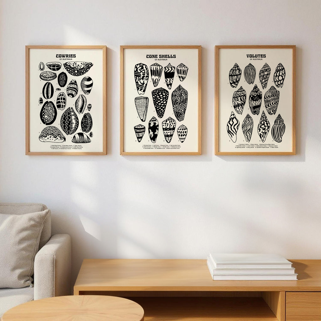 Cowries Shell Poster