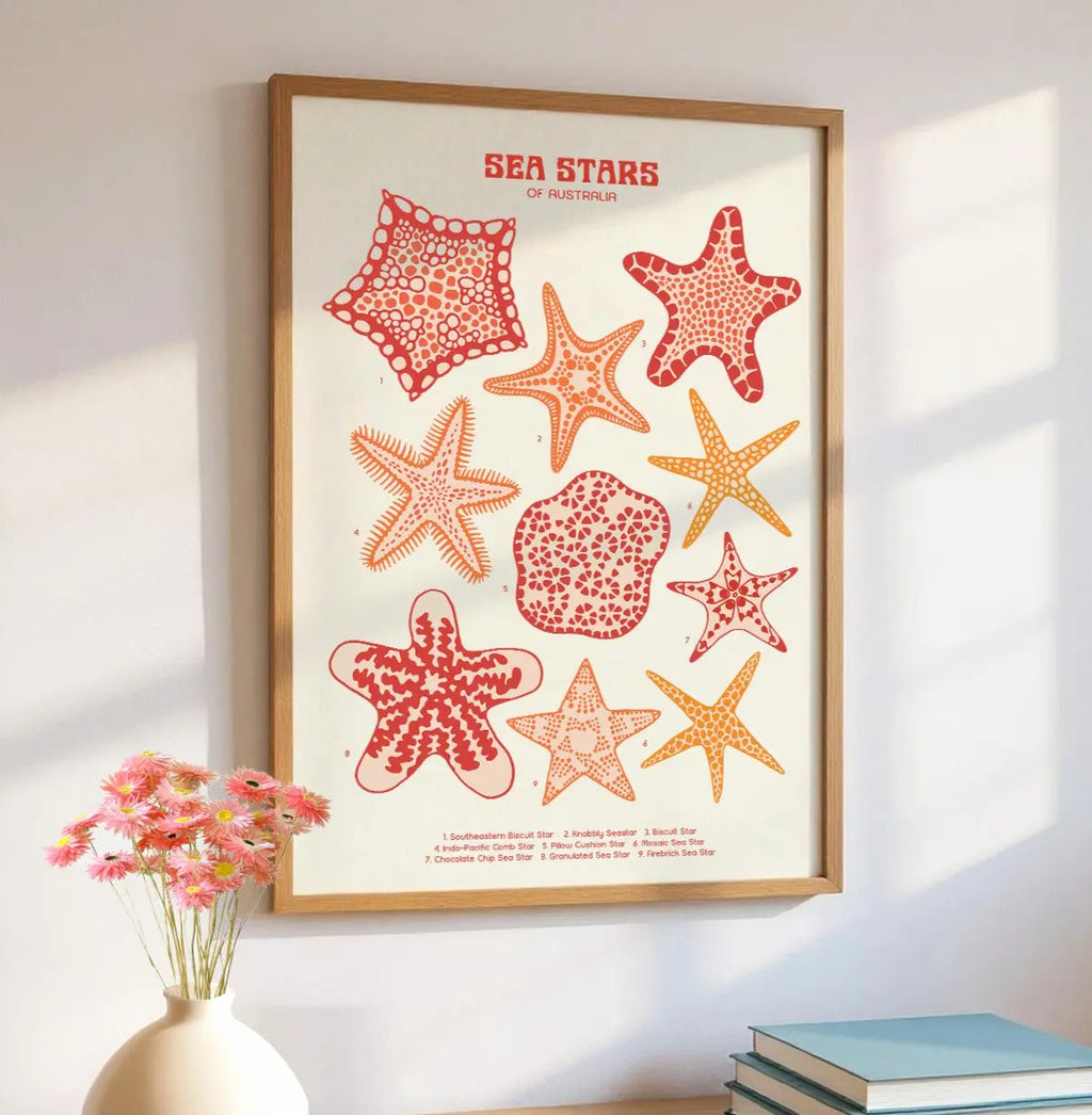 Shell Collection Poster Wattletail